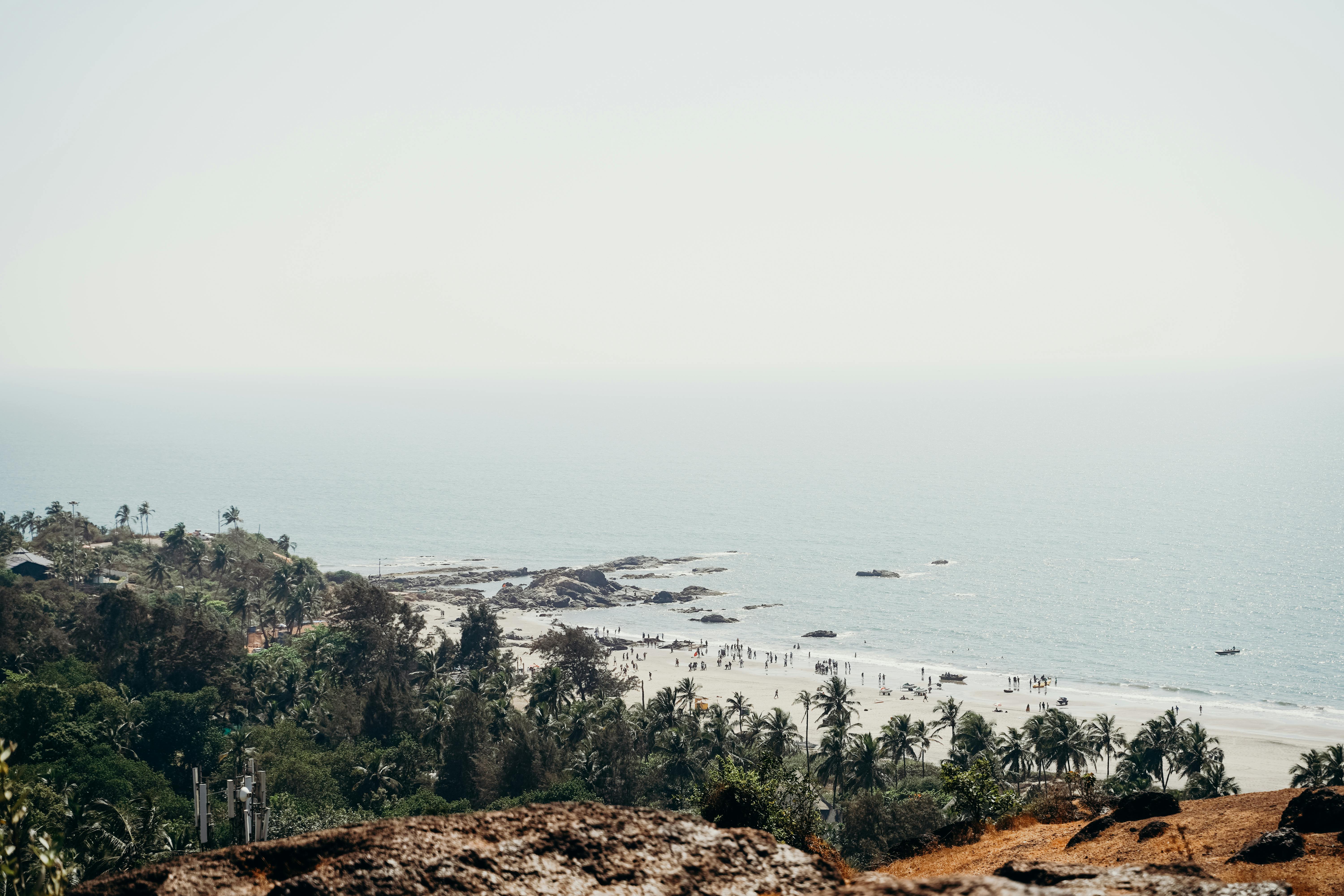Breathtaking view of Goa's coastline with palm trees and a serene beach under the summer sun.